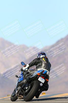 media/Jan-13-2024-SoCal Trackdays (Sat) [[9c032fe5aa]]/Turn 9 Backside (110pm)/